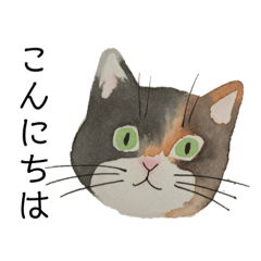 [LINEスタンプ] かもめのにゃんこスタンプ