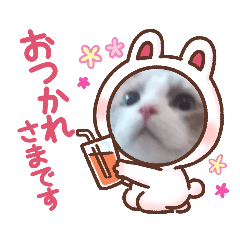 [LINEスタンプ] ふだんづかいのラグドールのラムニャン2