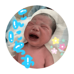 [LINEスタンプ] おざしょうスタンプ