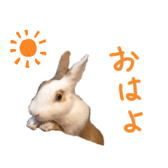 [LINEスタンプ] のんびりうさぎの日常〜1