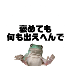 [LINEスタンプ] イエアメガエル 自粛編