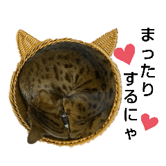 [LINEスタンプ] 徒然ニャンズ
