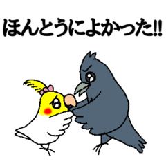 [LINEスタンプ] オカメインコとカラスのスタンプ