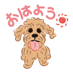 [LINEスタンプ] 毎日くるくるトイプードル