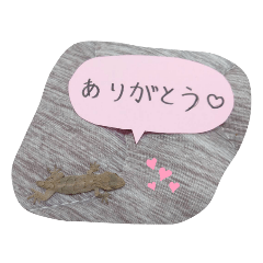 [LINEスタンプ] かわいいヤモリさんたち