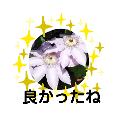 [LINEスタンプ] モコフラミー