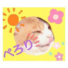 [LINEスタンプ] むーさんスタンプ(猫)