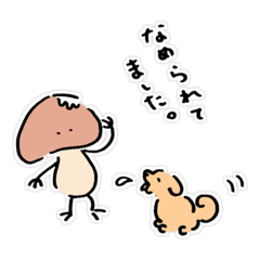 [LINEスタンプ] きの子ののこちゃん