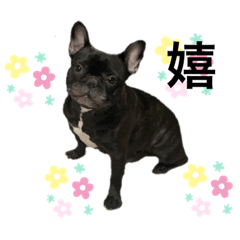 [LINEスタンプ] ちくわ ③