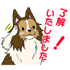 [LINEスタンプ] シェルティー業務用語1