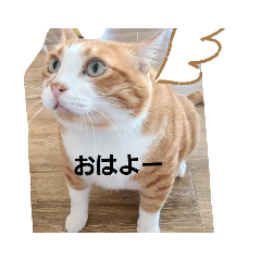 [LINEスタンプ] アニマルGo2