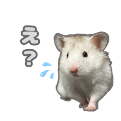 [LINEスタンプ] おうちのハムず