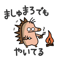 [LINEスタンプ] ハリモグラのサローとシブロー