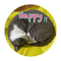 [LINEスタンプ] うにょにょ。スタンプpart4