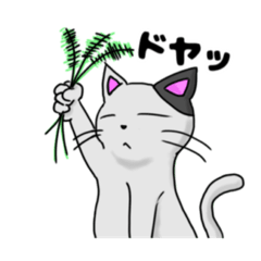 [LINEスタンプ] ブスカワ猫太郎と愉快な仲間達