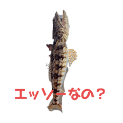 [LINEスタンプ] 魚三昧ver9