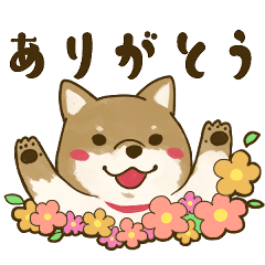 [LINEスタンプ] [毎日使える]柴犬むぎスタンプ