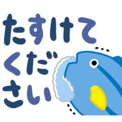 [LINEスタンプ] ぴちぴちナンヨウハギ（でか文字）