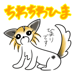 [LINEスタンプ] ちわちわひま