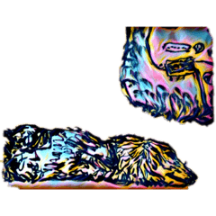 [LINEスタンプ] ダックスフンド by fuderist