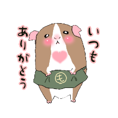 [LINEスタンプ] モルモットのぱんこ