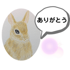 [LINEスタンプ] うさぎの絵