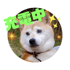 [LINEスタンプ] みんなと一緒 5