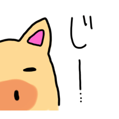 [LINEスタンプ] ブタの絵