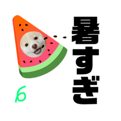 [LINEスタンプ] ろくもねスタンプSUMMER