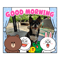 [LINEスタンプ] Abby's stickers 2 ツンデレ犬チワワのAbby