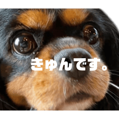 [LINEスタンプ] ずずずんだもち