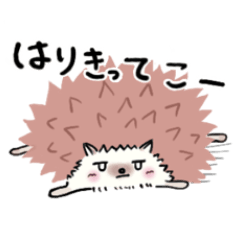 [LINEスタンプ] はりきりすぎないハリネズミ