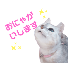 [LINEスタンプ] ミラクルみるちゃん