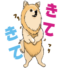 [LINEスタンプ] ぽめぽめ犬1