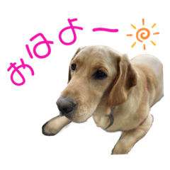[LINEスタンプ] らぶらどーる エルくん