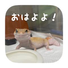 [LINEスタンプ] せぶんちゃん！