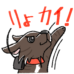 [LINEスタンプ] 今日も元気甲斐！？