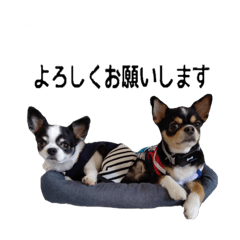 [LINEスタンプ] イッヌとイッヌ