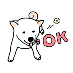 [LINEスタンプ] しば犬ララのHAPPY DAYS♡