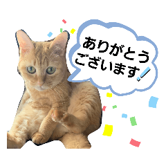 [LINEスタンプ] みぃちゃまスタンプ