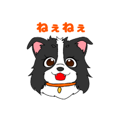 [LINEスタンプ] ボーダーコリー凛ちゃん