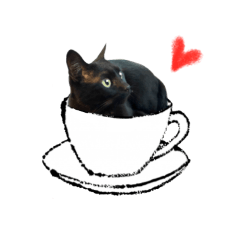 [LINEスタンプ] ばりカワ6ニャンズ♡まめくちゃみる