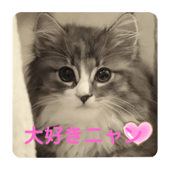 [LINEスタンプ] リリアちゃん①