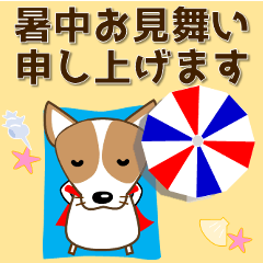 [LINEスタンプ] コーギー好きなあなたへ 夏 暑中見舞い等