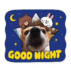 [LINEスタンプ] ロビンとルカ