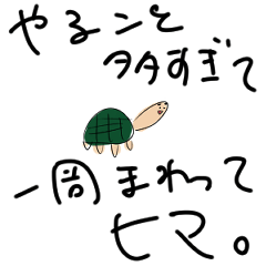 [LINEスタンプ] カメ汰のときどき使うスタンプ