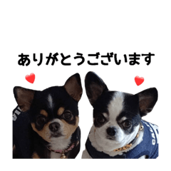 [LINEスタンプ] イッヌとイッヌ2