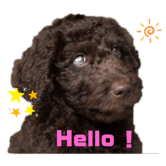 [LINEスタンプ] ディノザウルス