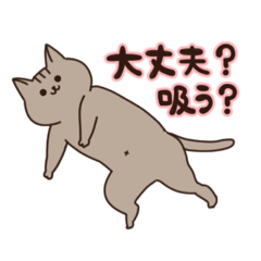 [LINEスタンプ] こじめ家の3ネコ