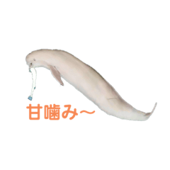 [LINEスタンプ] スナメリとダツby空撮